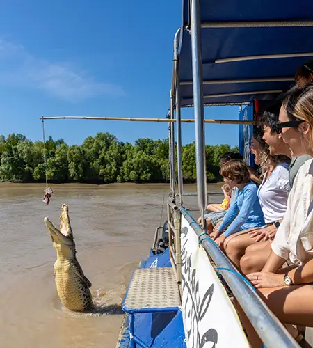 Jumping Crocodiles