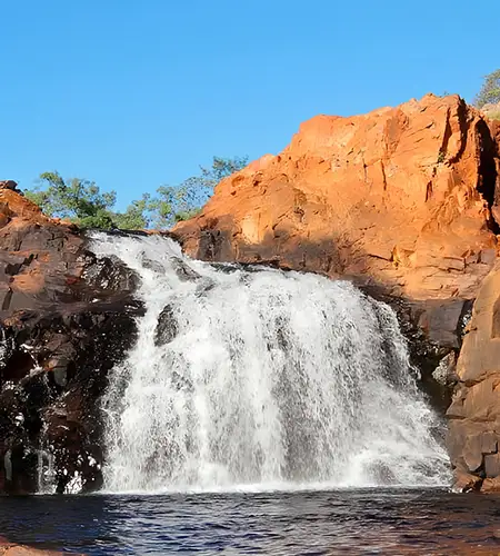 Kakadu